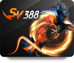 Understanding SBOTOP Soi Kèo Cao Thủ for Smart Betting Decisions